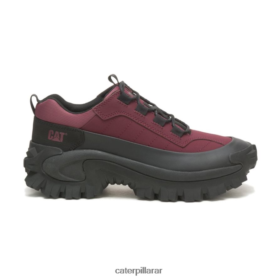 8F44LN124 Caterpillar chanclo impermeable para intrusos hombres vino negro/windsor | impermeable