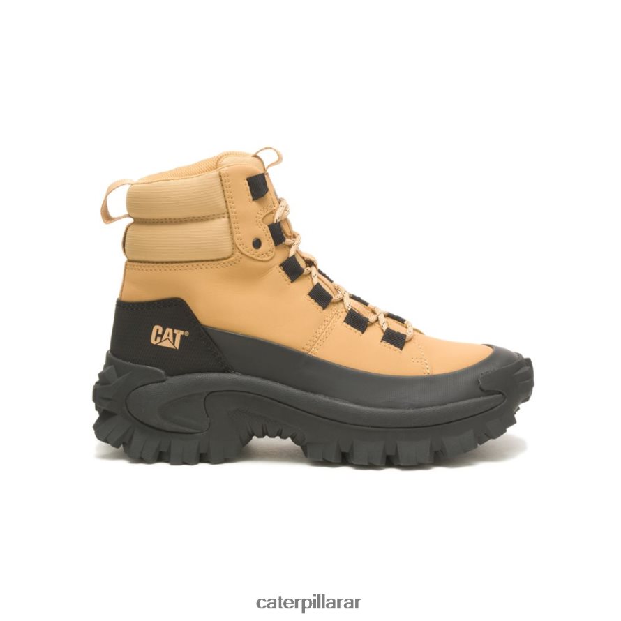 8F44LN173 Caterpillar chanclo impermeable a la intrusión hombres negro/dulce | impermeable