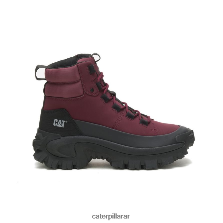 8F44LN174 Caterpillar chanclo impermeable a la intrusión hombres vino negro/windsor | impermeable