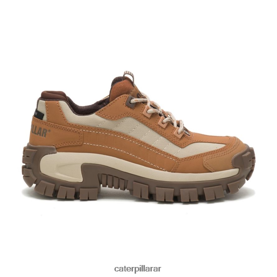 8F44LN286 Caterpillar zapato de trabajo invasor con punta de acero mujer azúcar moreno/bronceado | zapatos de trabajo